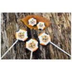 Amore Sweets Rocks Lolly Kuerbis 100x10g No3 2914