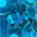 Blauer Mix Spitztuete 380g No2 2148