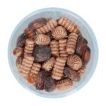 Evers Karamel Mix 180g No3 5202