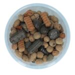 Evers Salmiak Lakrids Mix 180g No3 5141