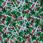 Fini Pop Watermelon Lolli 100er No2 3029