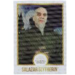 Harry Potter Chocolate Frog 15g1 1