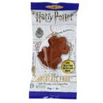 Harry Potter Chocolate Frog 15g1