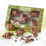 Heilemann Confiserie Geschenkpackung 039 Dinos 039 100g No2 2948