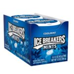 Ice Breakers Mints Coolmint Sugarfree 42g No7 1850