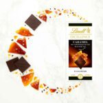 Lindt Excellence Caramel Fleur De Sel Feinherb Tafel 100g No2 0242