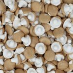 Nordthy Skum Svampe Karamel 800g No6 5558