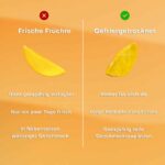 Pol 039 S Freeze Fresh Mango Fruchtchips 20g No4 2406