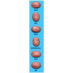 Rotstern Chokis 50g No3 3831