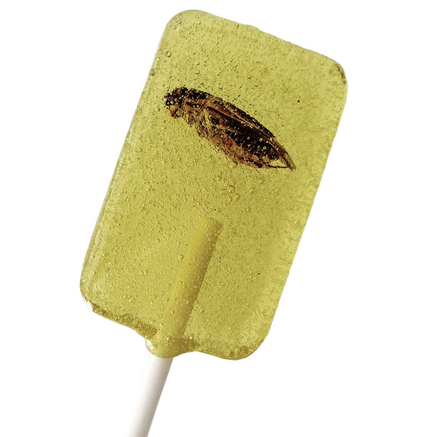 snack-insects-lolli-grille-20g-no1-3244 Snack Insects Lolli Grille 20g No1 3244