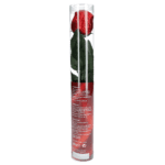 Wawi Choco Rose 1