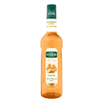 Mathieu Teisseire Sirup Ingwer 7L 1045826093