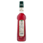 Mathieu Teisseire Sirup Rhabarber 7L 1045826127 1 1