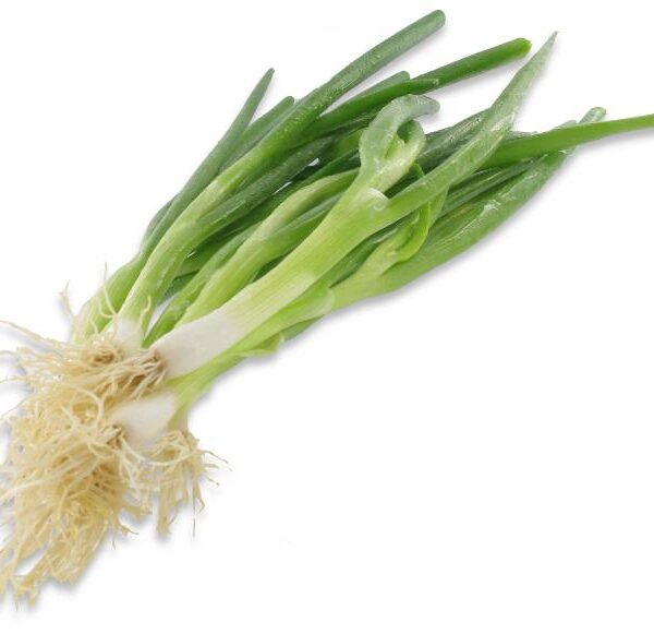 4507010015 2099990155232