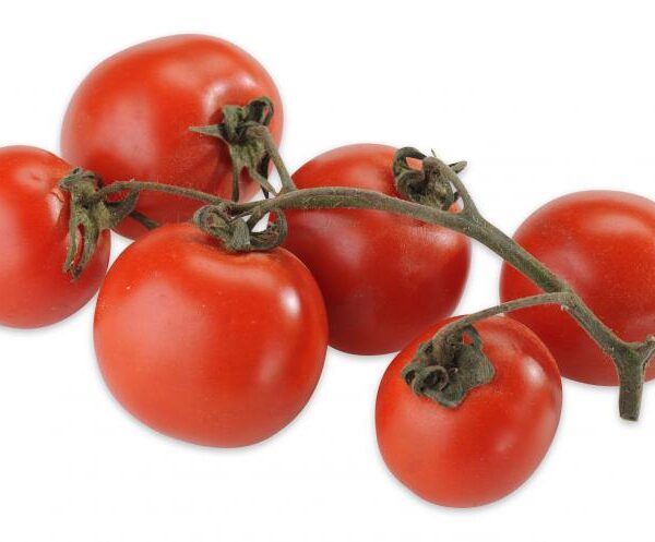 4507010043 2099990616146 01