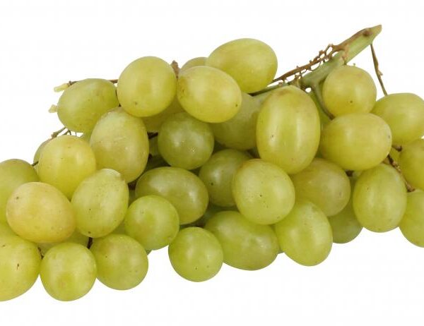 4507010087 6009533400015 01