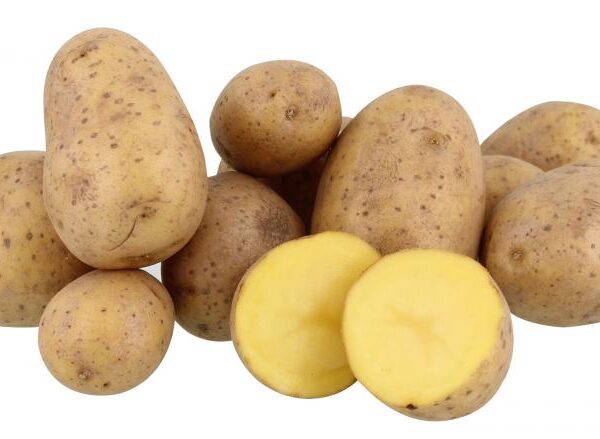 4507010514 4030027301169 01