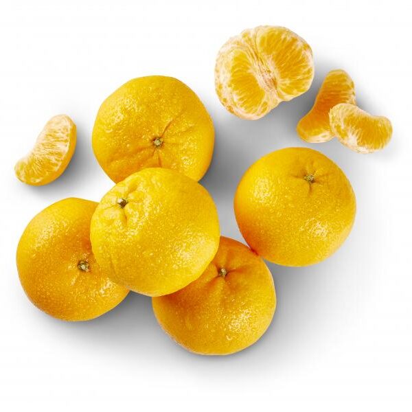 4507010941 2000425096693 01