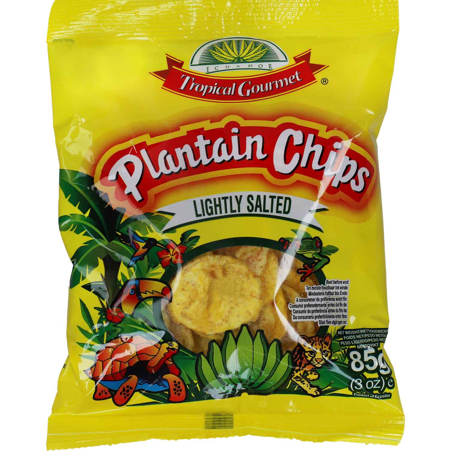 tropical-gourmet-plantain-chips-lightly-salted-85g-no1-3317